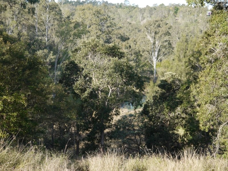 Kooralbyn QLD 4285