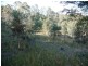 Kooralbyn QLD 4285
