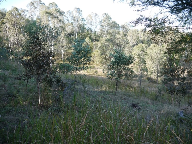 Kooralbyn QLD 4285