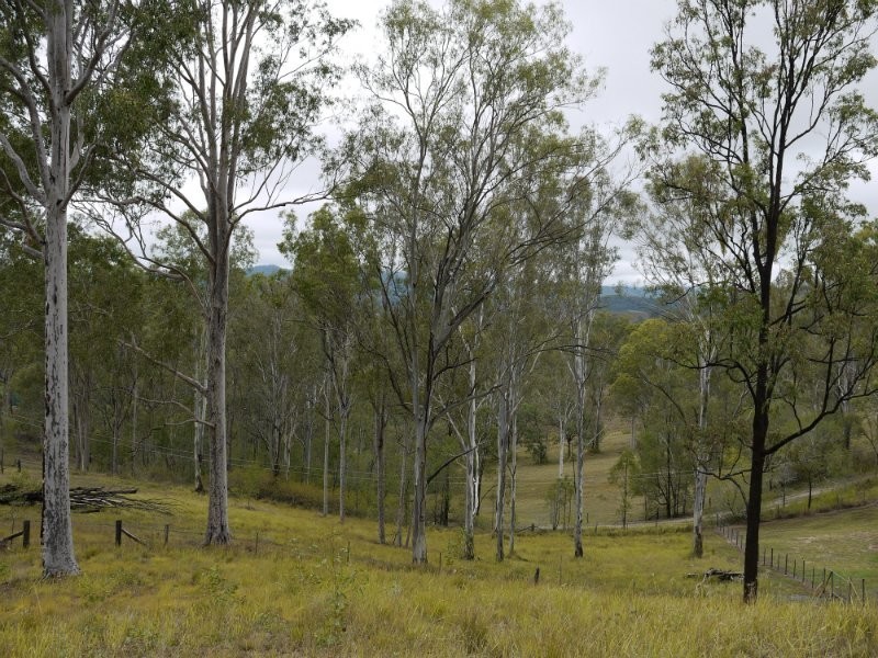 Mundoolun QLD 4285