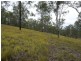 Mundoolun QLD 4285