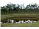 Oaky Creek QLD 4285