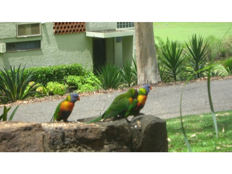 Kooralbyn QLD 4285
