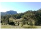 Lamington QLD 4285