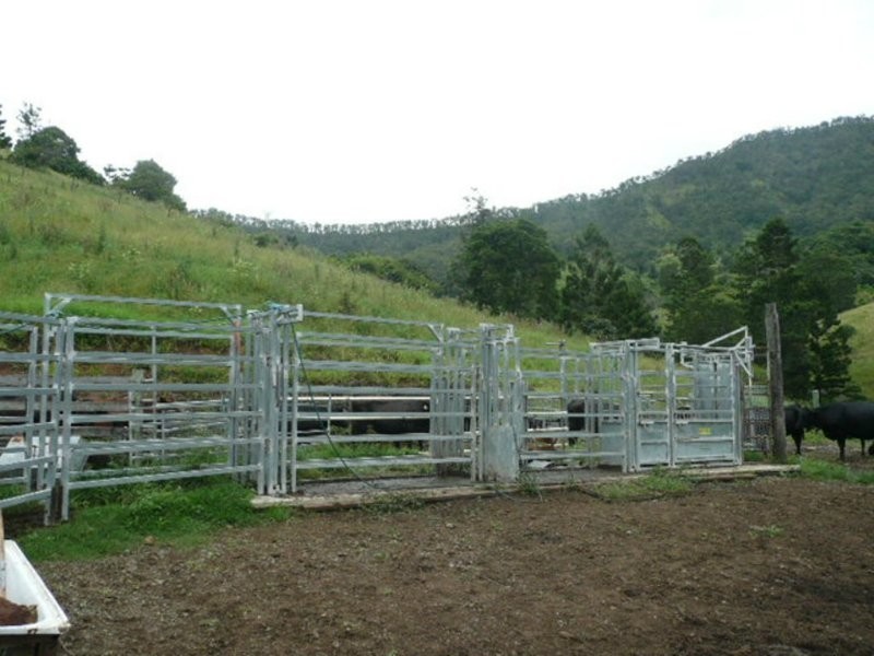 Lamington QLD 4285