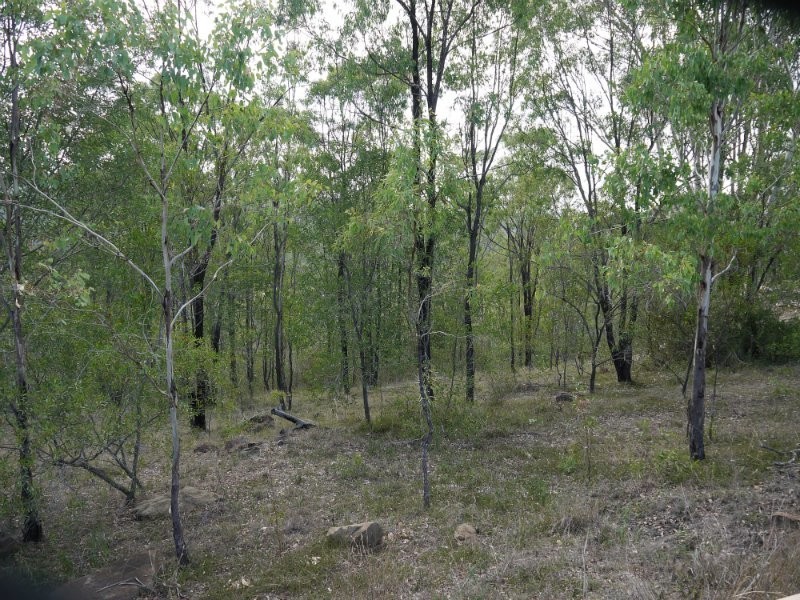 8 Muirhead, Kooralbyn QLD 4285