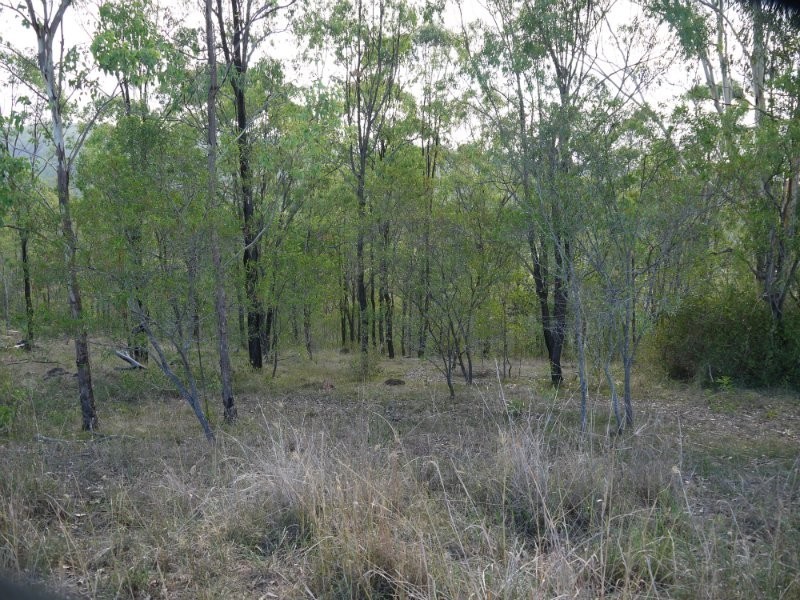 8 Muirhead, Kooralbyn QLD 4285