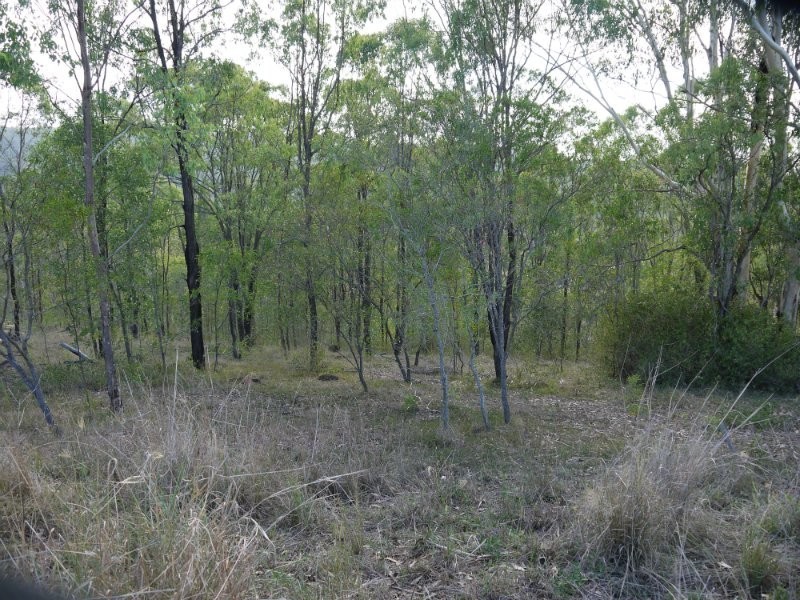 8 Muirhead, Kooralbyn QLD 4285