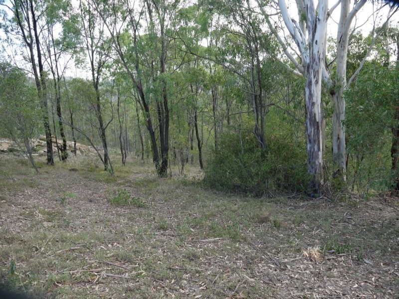 8 Muirhead, Kooralbyn QLD 4285