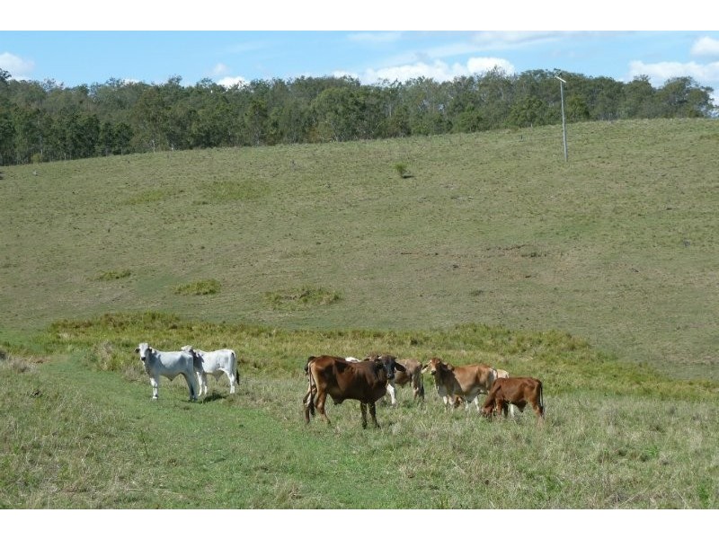 89 Christmas Creek Rd., Laravale QLD 4285