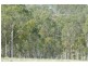 89 Christmas Creek Rd., Laravale QLD 4285