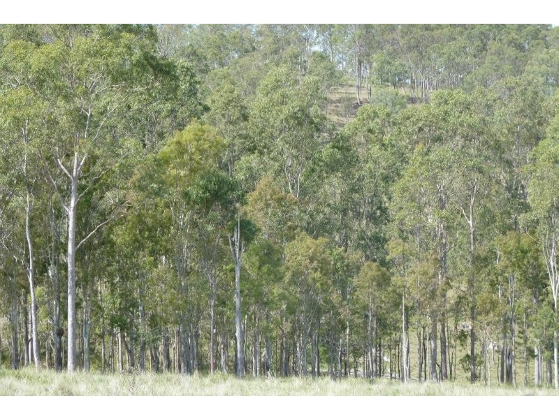 89 Christmas Creek Rd., Laravale QLD 4285