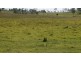 Lot 2 Oaky Scrub Road, Innisplain QLD 4285