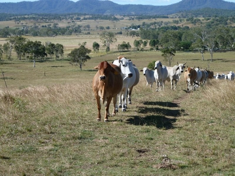 Lot 2 Oaky Scrub Road, Innisplain QLD 4285