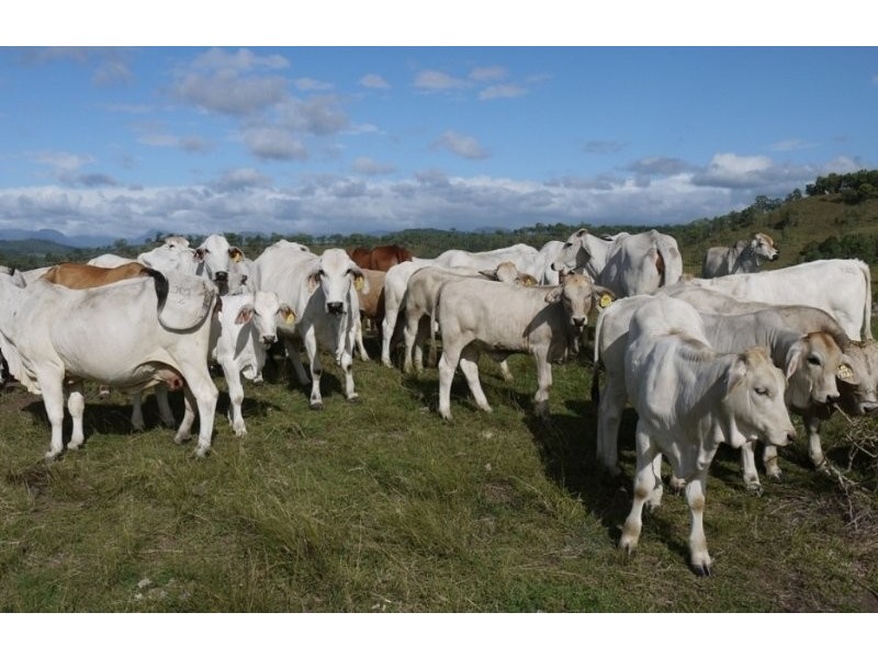 Lot 2 Oaky Scrub Road, Innisplain QLD 4285