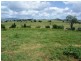 Boonah QLD 4310