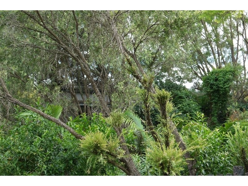 Beaudesert QLD 4285