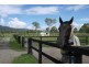 Tamborine QLD 4270