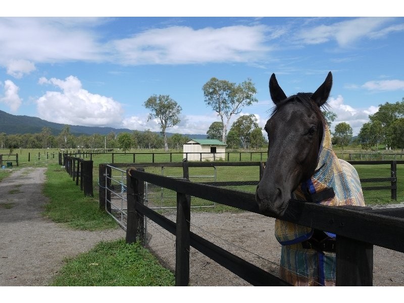 Tamborine QLD 4270