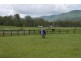 Tamborine QLD 4270