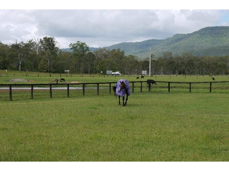 Tamborine QLD 4270
