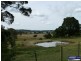 Veresdale Scrub QLD 4285