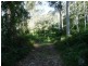 Lamington QLD 4285