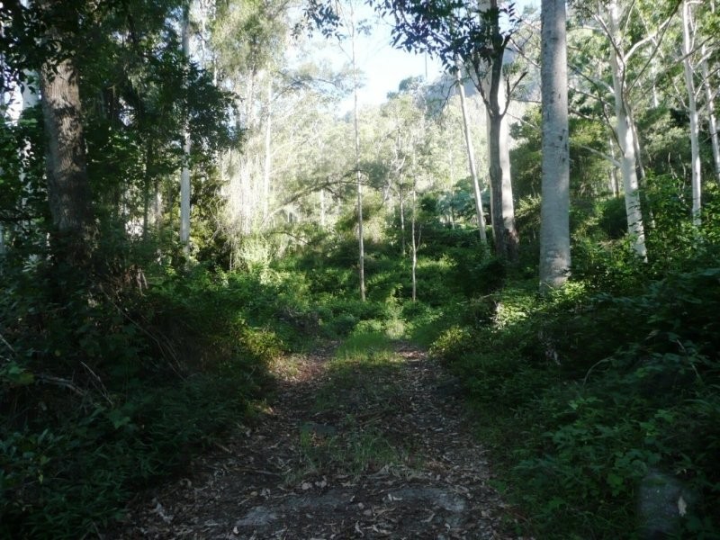 Lamington QLD 4285