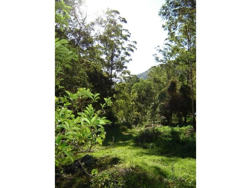 Lamington QLD 4285
