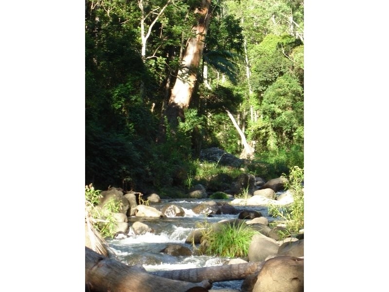 Lamington QLD 4285