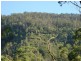 Lamington QLD 4285