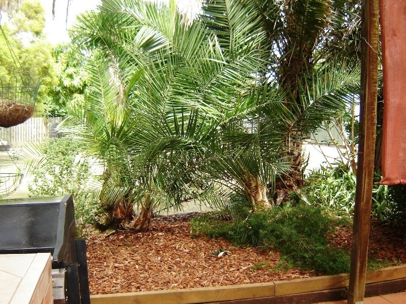 Beaudesert QLD 4285