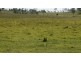 Lot 2 Oaky Scrub Road, Innisplain QLD 4285