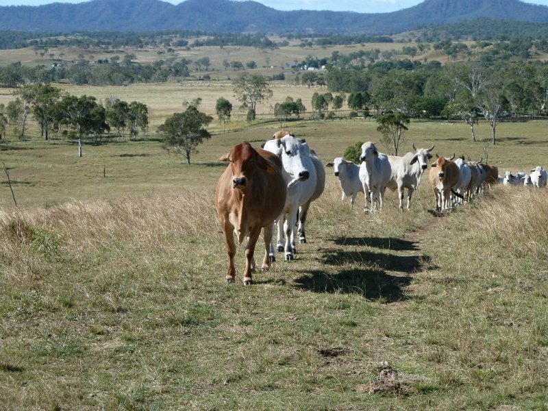 Lot 2 Oaky Scrub Road, Innisplain QLD 4285