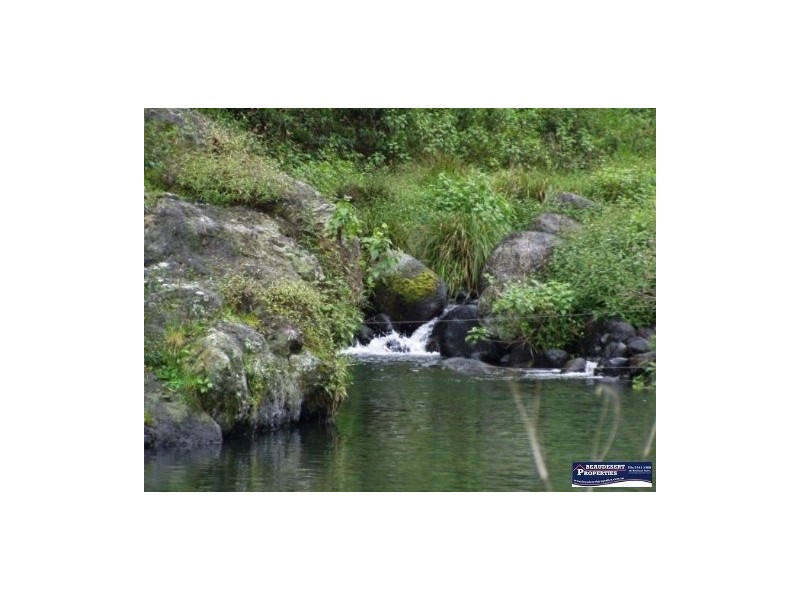 3352 Christmas Creek Rd, Lamington QLD 4285