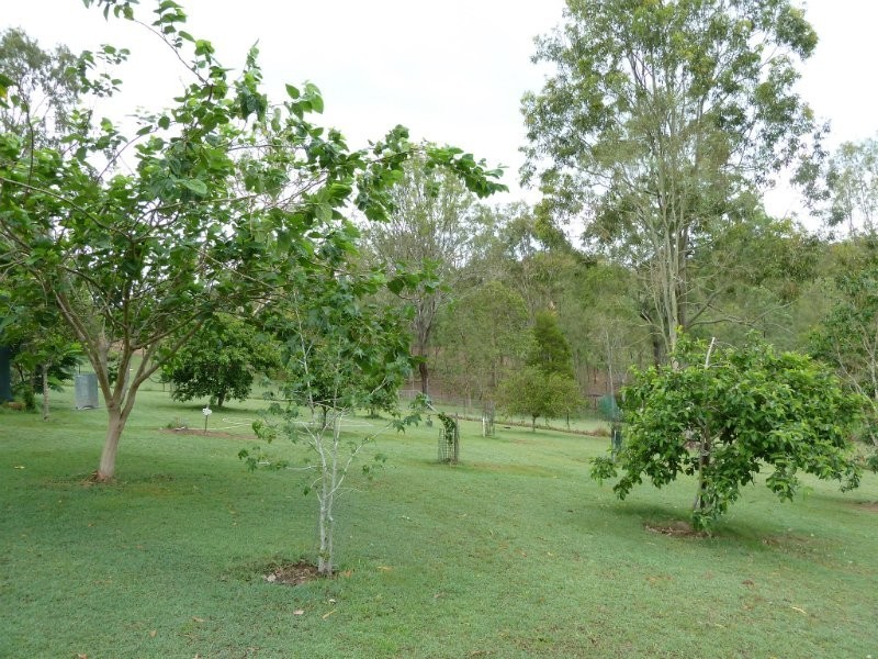 Kooralbyn QLD 4285