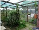 36 TUBBER, Beaudesert QLD 4285