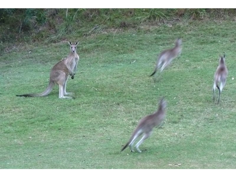 Kooralbyn QLD 4285