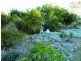 Kooralbyn QLD 4285
