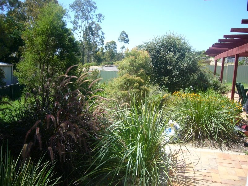 Beaudesert QLD 4285