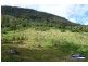 Lamington QLD 4285