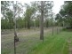 Jimboomba QLD 4280