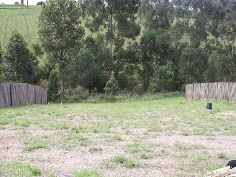 25 Lysterfeld Rise, Upper Coomera QLD 4209