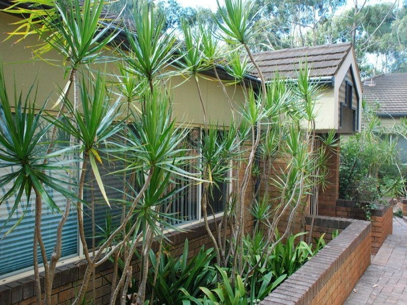 4/6 Lister  Court, Hyams Beach NSW 2540