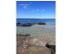 34 Owen Street, Huskisson NSW 2540