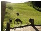 236 Sanctuary Point Road, Sanctuary Point NSW 2540