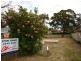 157 Macleans Point Road, Sanctuary Point NSW 2540