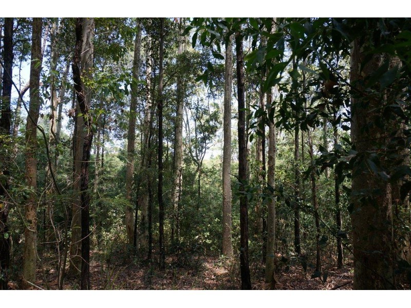 33A Battunga Drive, Tomerong NSW 2540