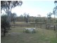 .42 Cambourne Street, Tomerong NSW 2540