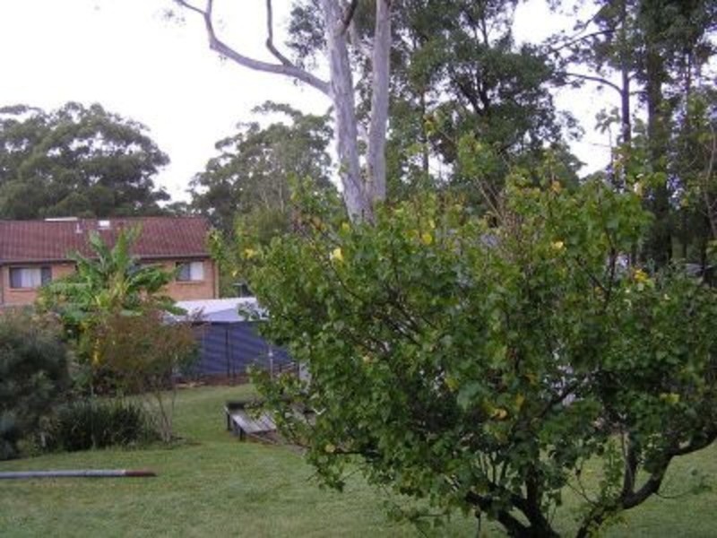 20 Waldergrave Crescent, Vincentia NSW 2540
